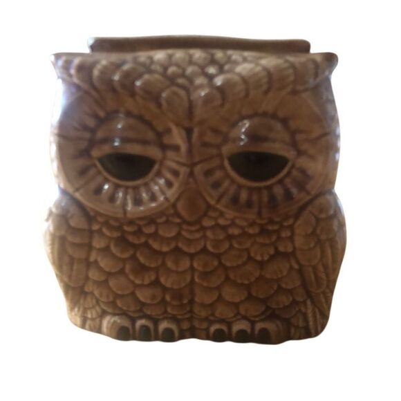 Brown Ceramic Owl Napkin Holder for Kitchen - Picture 1 of 6